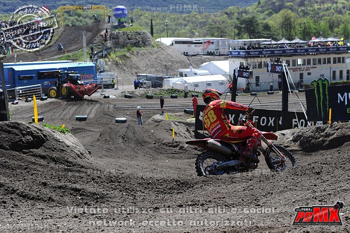 ROB_2615 (Copy).jpg